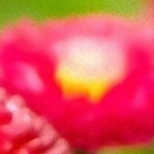 สมาชิกหมายเลข 5836350