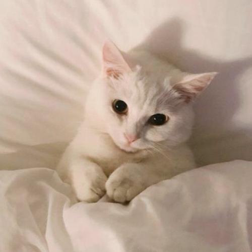 สมาชิกหมายเลข 5998242