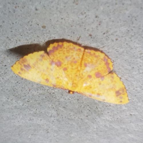 สมาชิกหมายเลข 5998357