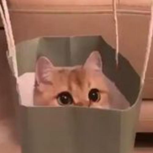 สมาชิกหมายเลข 5742870