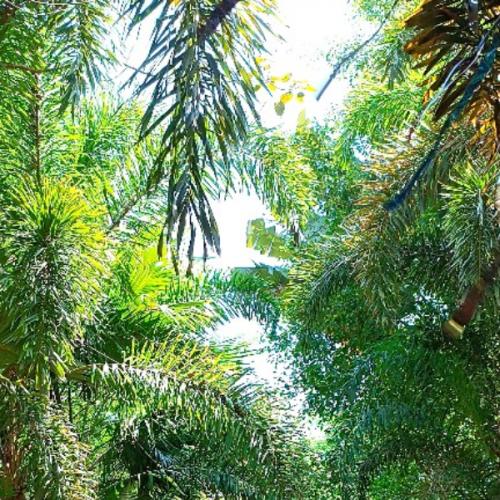 สมาชิกหมายเลข 7349180