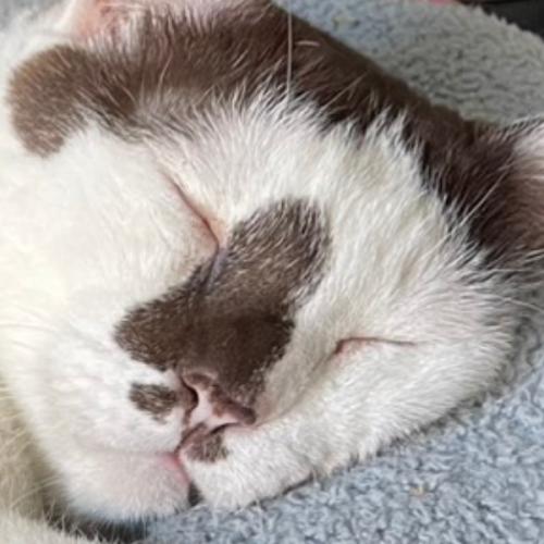 you reap what you sow