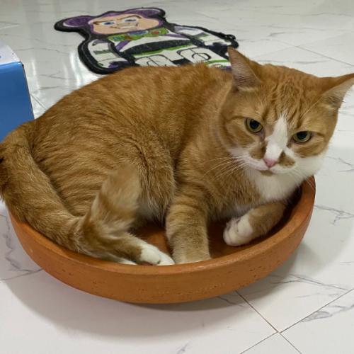 สมาชิกหมายเลข 9227010