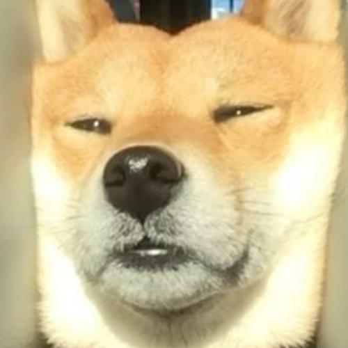 สมาชิกหมายเลข 9227020