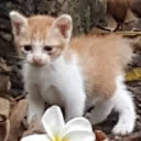 สมาชิกหมายเลข 1382203