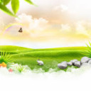 สมาชิกหมายเลข 4339676