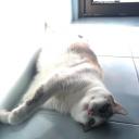 สมาชิกหมายเลข 4339740