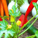 สมาชิกหมายเลข 2506116