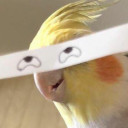 สมาชิกหมายเลข 4212039