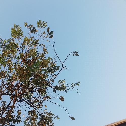 สมาชิกหมายเลข 5078104