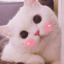 สมาชิกหมายเลข 5078501