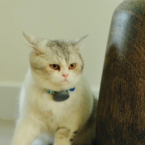 สมาชิกหมายเลข 6591729