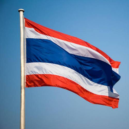 สมาชิกหมายเลข 3003840