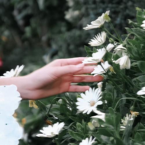 ปรากฏการณ์หลังฝนตก