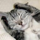 สมาชิกหมายเลข 2859012