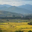 สมาชิกหมายเลข 3187319