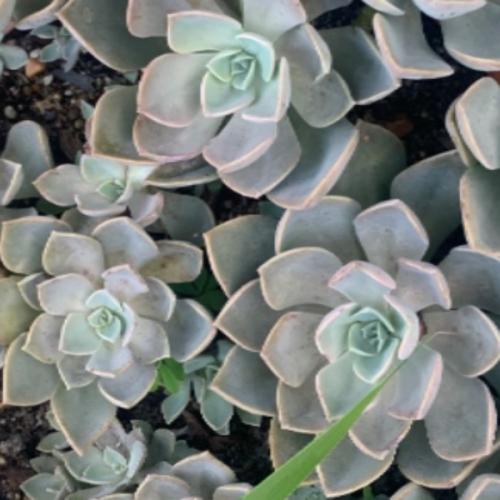 สมาชิกหมายเลข 3035715