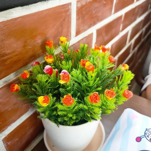 สมาชิกหมายเลข 4536250