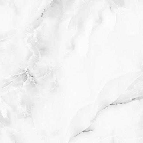 สมาชิกหมายเลข 8226782