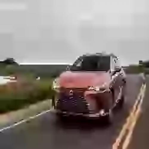 สมาชิกหมายเลข 9228028