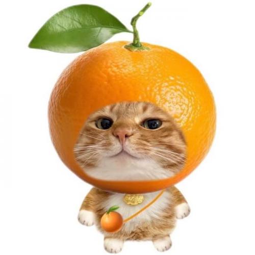 สมาชิกหมายเลข 9228174