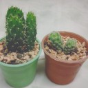 สมาชิกหมายเลข 3872623