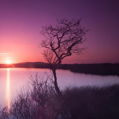 สมาชิกหมายเลข 4709567