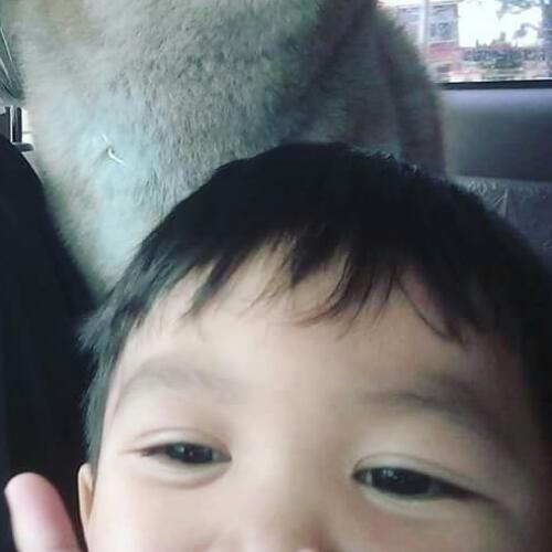 สมาชิกหมายเลข 3352835