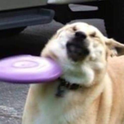 สมาชิกหมายเลข 800094