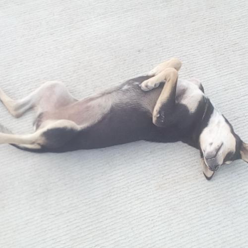 สมาชิกหมายเลข 5999935