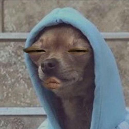 สมาชิกหมายเลข 6612407