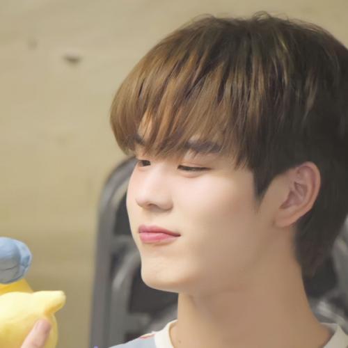 สมาชิกหมายเลข 6955526