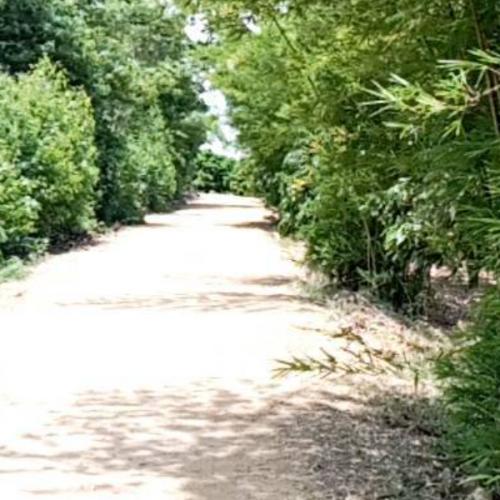 สมาชิกหมายเลข 7040274