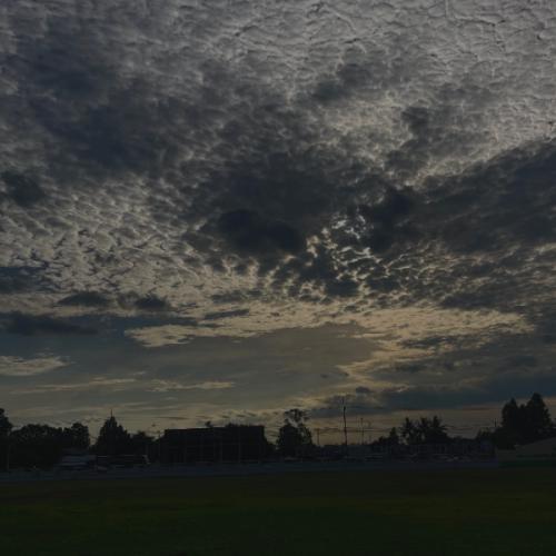 สมาชิกหมายเลข 8228107