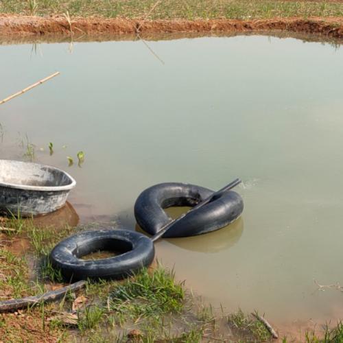 สมาชิกหมายเลข 5125783