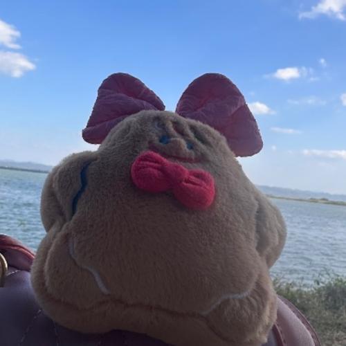 สมาชิกหมายเลข 9228777