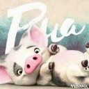 สมาชิกหมายเลข 2500316