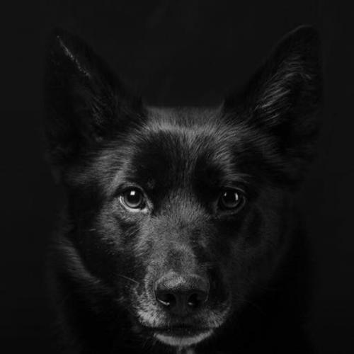 สมาชิกหมายเลข 4709939