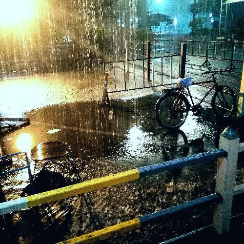 สมาชิกหมายเลข 4901762