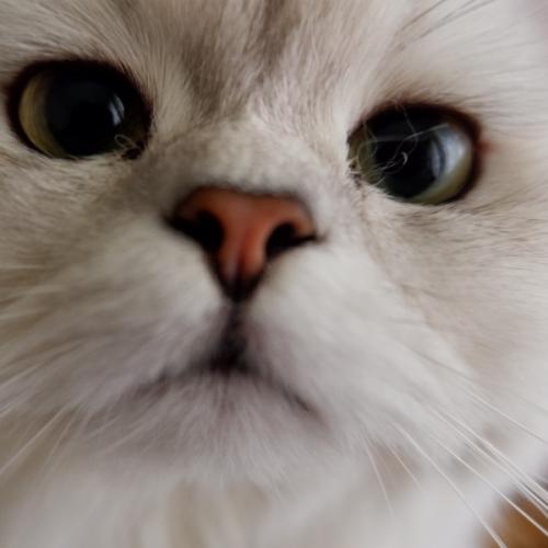 สมาชิกหมายเลข 1737179