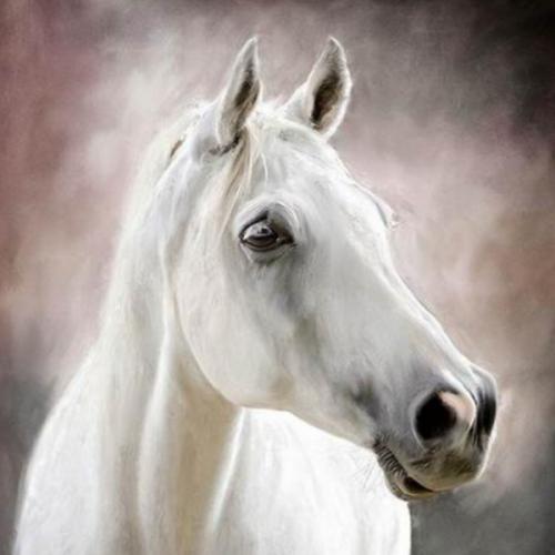 สมาชิกหมายเลข 4724832