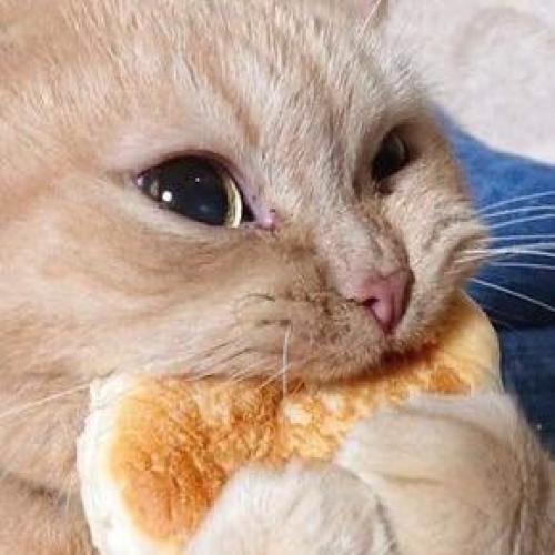 สมาชิกหมายเลข 5999893