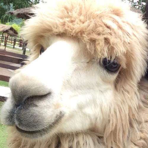 สมาชิกหมายเลข 6000544