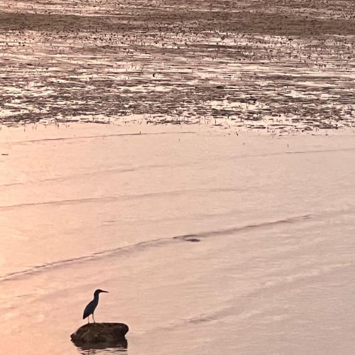 สมาชิกหมายเลข 2502770