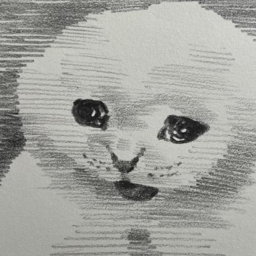 สมาชิกหมายเลข 1576366