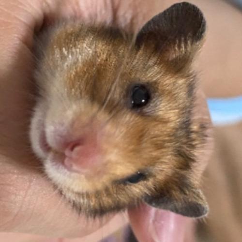 สมาชิกหมายเลข 9229070