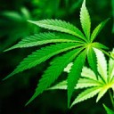 สมาชิกหมายเลข 3862758