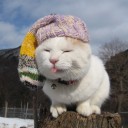 สมาชิกหมายเลข 4341699