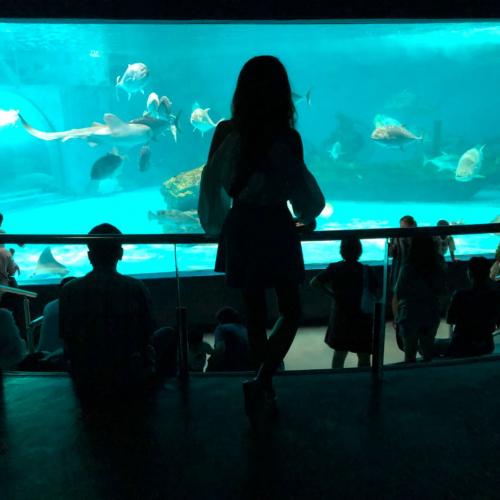 สมาชิกหมายเลข 3835057