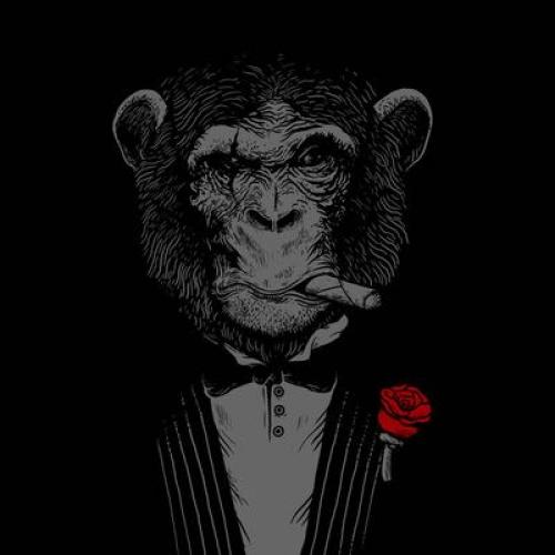 สมาชิกหมายเลข 903287